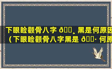 下眼睑颧骨八字 🕸 黑是何原因（下眼睑颧骨八字黑是 🕷 何原因造成的）